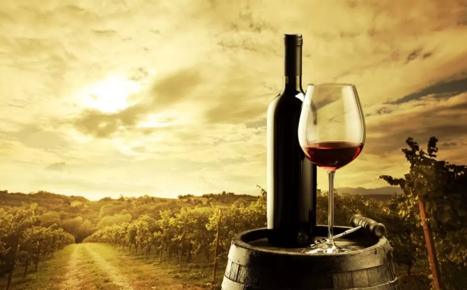 Alkol Fiyatları 2023 Migros | Şarap